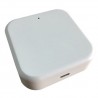 Elektroninio užrakto TTLock valdiklis, Wi-Fi , Bluetooth